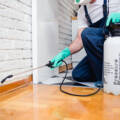 Why Regular Pest Control is Essential for Your Home’s Health