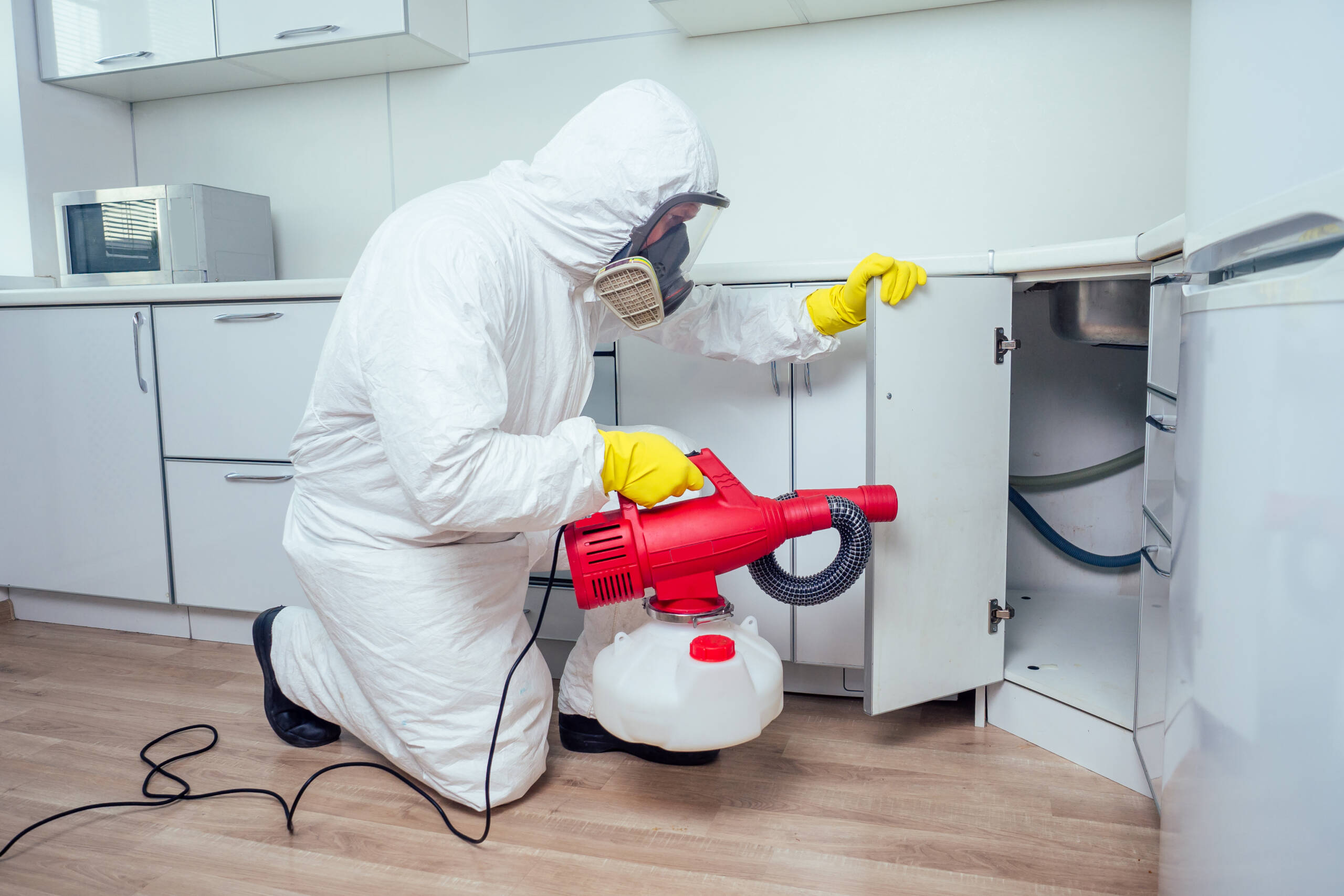 Termite Protection
